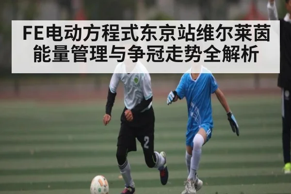 FE电动方程式东京站维尔莱茵能量管理与争冠走势全解析