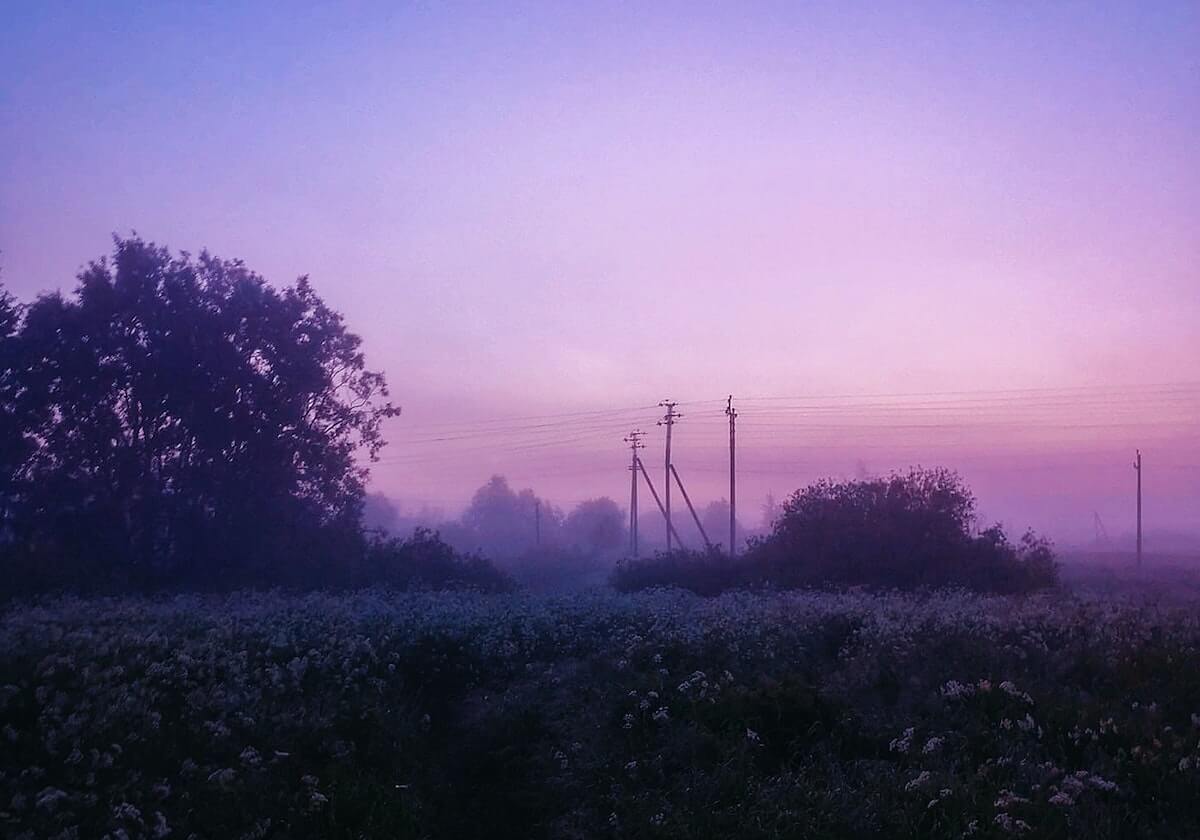 开云:让云端改变生活的艺术